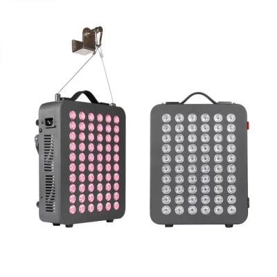 Rlttime Wholesale Factory Price Mini PRO Portable 300W Home Use PDT Facial Photon Red LED Light Therapy Machine Device Panel